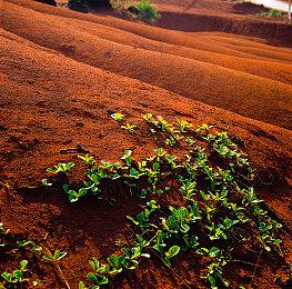 万代南梦宫格斗游戏新作《铁拳8》已在韩国获得评级